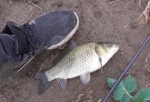 立夏后外出钓鱼，这4种“黄金宝位”别错过，渔获满满并不难