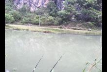 地下河出口藏鱼群，钓几条回家吃，我敢说认识它们的人并不多