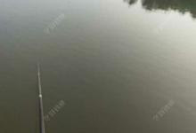 天冷钓鲤鱼技巧分享