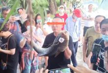 沈阳男子在北陵公园钓上大鱼，1米多长，网友：“守墓鱼”，别吃