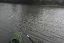 冬天钓鲫鱼上浮？有了这几招鲫鱼乖乖回底层