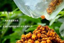 伏天我只用这鲤鱼饵，百试百灵，浮漂瞬间被拉黑