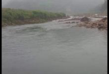 除了在大江大河钓鱼，溪流也是个不错的选择，这渔获不错吧