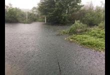 夏季来临，温度升高后大鲫鱼都去哪了？该怎么办呢？