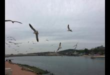 老人海边抛竿数百次，终于钓获大鲈鱼，离开时连背影都那么潇洒！