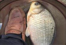 鱼儿的生活习性很关键，垂钓前最好能了解一下，尤其是钓鱼新手