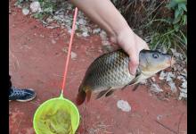 仲春时节如何夜钓黄颡鱼？这3个原则值得遵循，把握好了渔获不愁