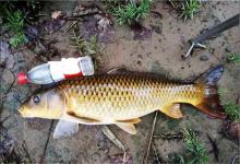 钓鱼时中鱼只是开始，溜鱼过程很重要，这些技巧值得关注