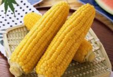 用玉米总钓不到鱼，这3个细节你注意过吗，钓鱼人别错过