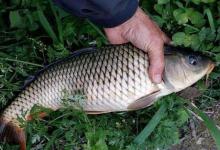 立秋后钓大鱼，这3种钓位别错过，连续高温也不怕