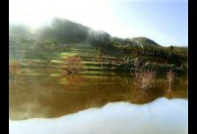 爱钓鱼的你要留意，这样的鱼要放生，野生的不能吃，家养的可以