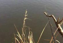 农村野塘钓获大青鱼，却遭七旬大爷拦截，非说鱼是他家的，怎么办