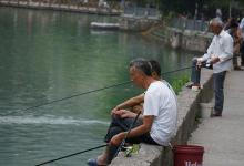 老大爷求助各位钓友，这种鱼叫什么名字，为什么很像黄颡鱼？