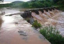 趁着水库放水带抛竿去钓鱼，自制玉米饵料想钓鲤鱼，却钓到了甲鱼