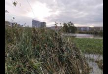 发现一个钓鱼的好地方，钓到的全是大鲫鱼，最大的一条1斤多