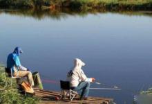 学会这4招，鲫鲤草鱼连杆上，每天钓完还想钓