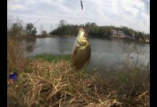 清明节前后野钓鲫鱼，这3个垂钓核心要把握，钓得多钓的大全靠它