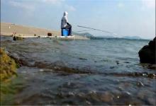 冬钓鲫鱼鱼口不佳，不妨试试“拖底钓法”，诱钓结合轻松钓鲫鱼！