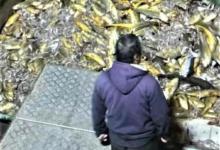 浙江船老大捕上3000斤黄鱼，估价300多万，网友：比买彩票还幸运