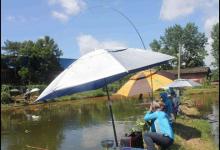 谁说春天不好钓草鱼？3大妙招让你贼带劲的遛鱼