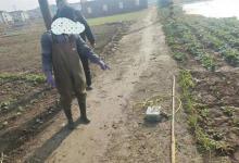 江苏一男子在鱼塘中电鱼被抓，很多人不理解：自己家鱼塘也不行？