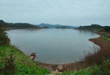 重庆肉质细腻的花骨鱼