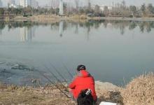 浅谈冬钓鲤鱼的实用技巧