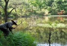 出门垂钓鲤鱼掌握以下几点想不爆护都难