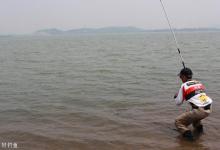 秋天钓鲤鱼，饵料味道与状态要注意