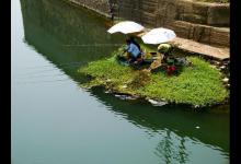 立冬过后，三分钟解决野钓鲫鱼的两大难题