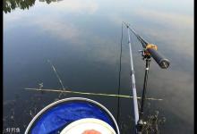 冬天钓大鲫鱼，来自高手的经验总结