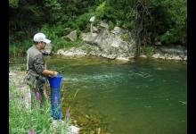 溪流钓马口鱼的技巧全攻略