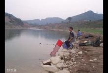 春天怎么钓鳊鱼，教你4个绝招