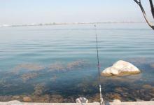 鲫鱼的食性及冬钓大鲫十技巧