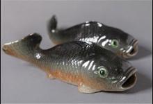 新手钓鲤鱼，有什么诀窍？