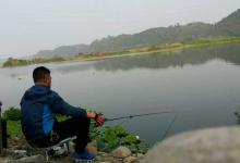 浅谈早春野钓天气，都能钓到但位置差异很大，找准爆护！