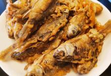 为什么越来越多的钓鱼人喜欢钓小鱼？还不是被逼的