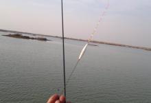 学会看大鲫鱼的漂相及处理方法