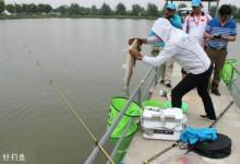 冬季海竿串钩钓大鲫鱼的几个高招，让你连连爆护