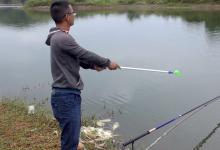 浅谈野钓做窝思路，快慢鱼套路不同，弄懂聚窝更容易