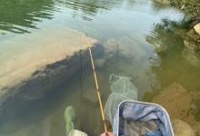 野钓技术无用？资源是基础技术是保证，纯资源论不可取