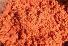 鱼儿为何喜欢酒米？重点不在酒，它是喜欢这个味儿