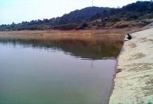 春天钓鲫鱼技巧，3个绝招轻松钓鲫鱼