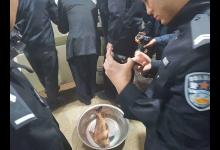 牢底坐穿鱼已过时，倾家荡产鱼出世，野钓丑的和怪的要放生！