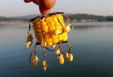 秋季野钓神饵盘点，有些钓点就能找到，谁用谁知道！