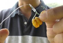 浅谈饵料的挂钩方式，用得好提升中鱼率，取决于个体大小