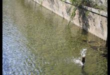 钓鲫鱼不能钓底的5个情况