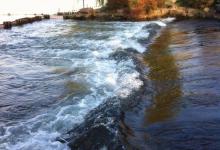 春季钓入水口攻略，野钓最易爆护的钓位，方法用对一样好钓