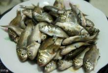 不同情况下野钓鲫鱼的子线长度