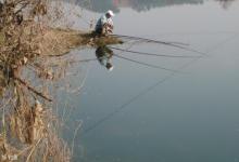 垂钓鲢鳙的7小技巧与问题解析